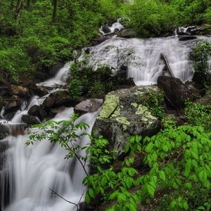 Meet your Posher, Abbey